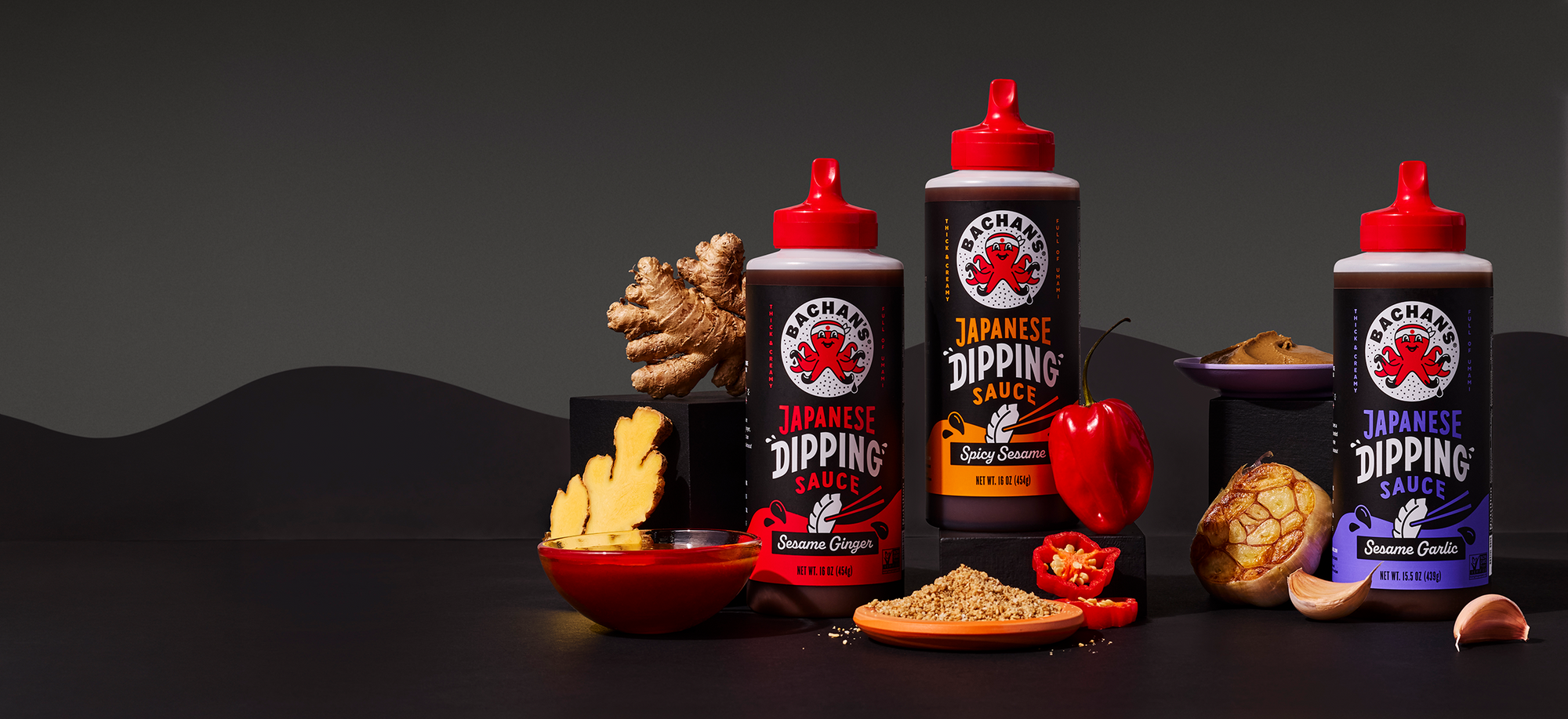 Japanese Dipping Sauce